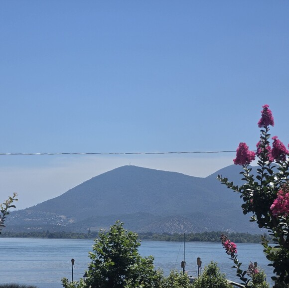 marcii92